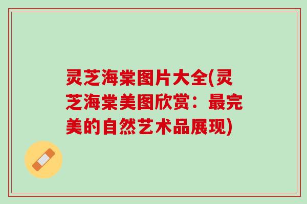 灵芝海棠图片大全(灵芝海棠美图欣赏：完美的自然艺术品展现)