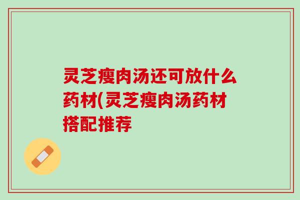灵芝瘦肉汤还可放什么药材(灵芝瘦肉汤药材搭配推荐