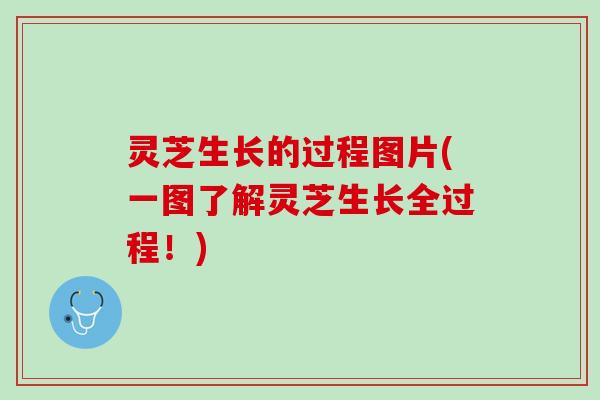 灵芝生长的过程图片(一图了解灵芝生长全过程！)