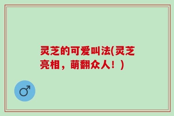 灵芝的可爱叫法(灵芝亮相，萌翻众人！)