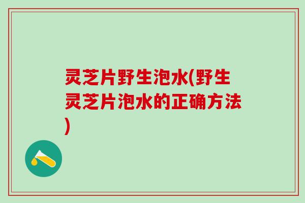 灵芝片野生泡水(野生灵芝片泡水的正确方法)