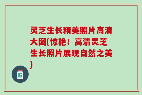 灵芝生长精美照片高清大图(惊艳！高清灵芝生长照片展现自然之美)