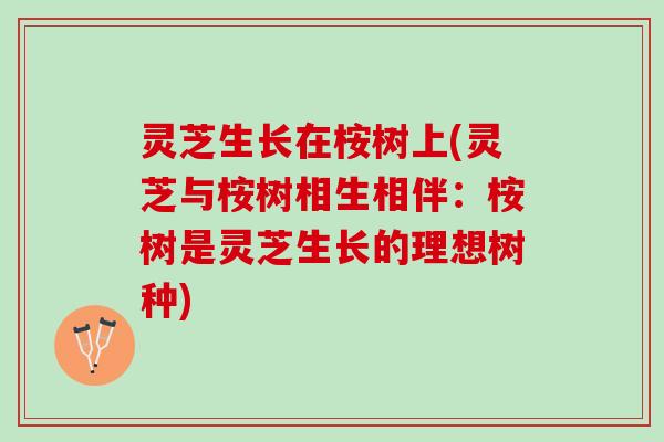 灵芝生长在桉树上(灵芝与桉树相生相伴：桉树是灵芝生长的理想树种)