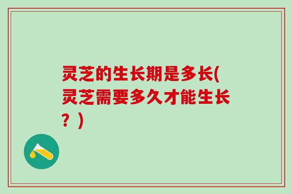 灵芝的生长期是多长(灵芝需要多久才能生长？)