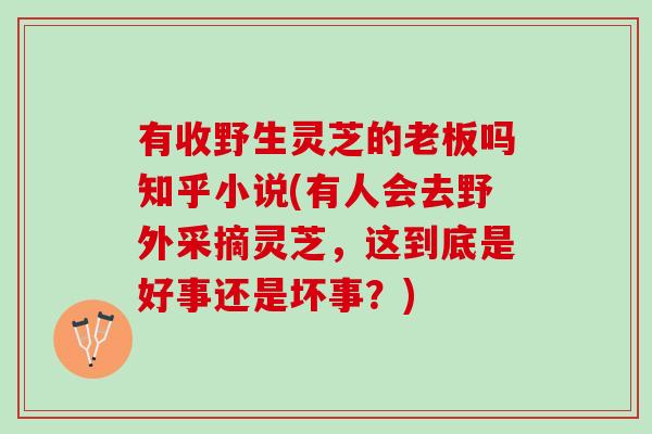 有收野生灵芝的老板吗知乎小说(有人会去野外采摘灵芝，这到底是好事还是坏事？)