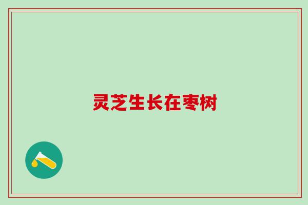 灵芝生长在枣树