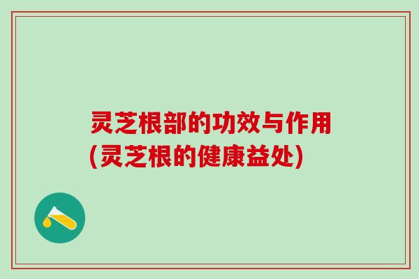 灵芝根部的功效与作用(灵芝根的健康益处)