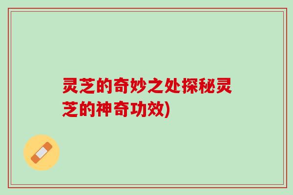 灵芝的奇妙之处探秘灵芝的神奇功效)