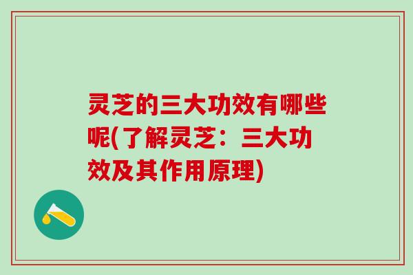 灵芝的三大功效有哪些呢(了解灵芝：三大功效及其作用原理)