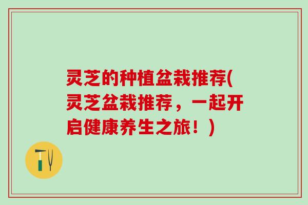 灵芝的种植盆栽推荐(灵芝盆栽推荐，一起开启健康养生之旅！)