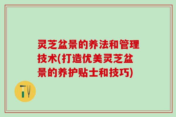 灵芝盆景的养法和管理技术(打造优美灵芝盆景的养护贴士和技巧)