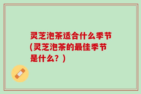 灵芝泡茶适合什么季节(灵芝泡茶的佳季节是什么？)