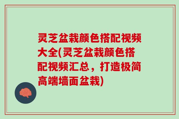 灵芝盆栽颜色搭配视频大全(灵芝盆栽颜色搭配视频汇总，打造极简高端墙面盆栽)