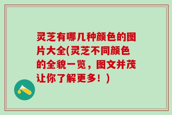 灵芝有哪几种颜色的图片大全(灵芝不同颜色的全貌一览，图文并茂让你了解更多！)