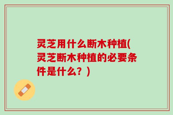 灵芝用什么断木种植(灵芝断木种植的必要条件是什么？)