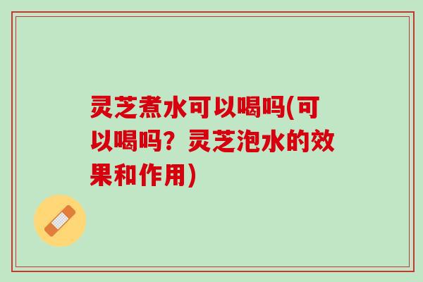 灵芝煮水可以喝吗(可以喝吗？灵芝泡水的效果和作用)