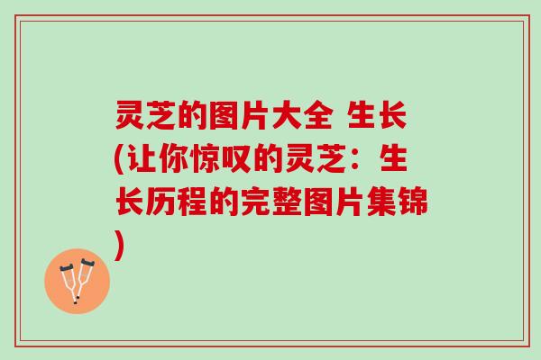 灵芝的图片大全 生长(让你惊叹的灵芝：生长历程的完整图片集锦)