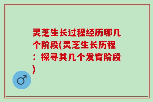 灵芝生长过程经历哪几个阶段(灵芝生长历程：探寻其几个发育阶段)