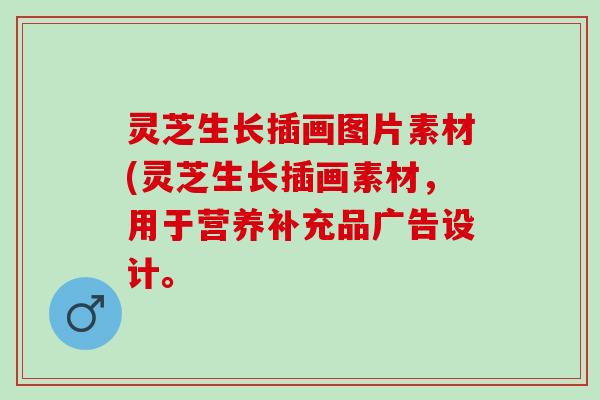 灵芝生长插画图片素材(灵芝生长插画素材，用于营养补充品广告设计。