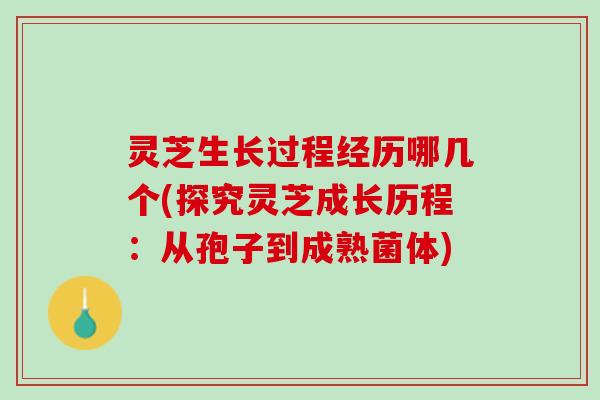 灵芝生长过程经历哪几个(探究灵芝成长历程：从孢子到成熟菌体)