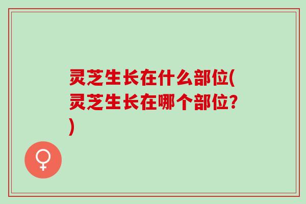 灵芝生长在什么部位(灵芝生长在哪个部位？)