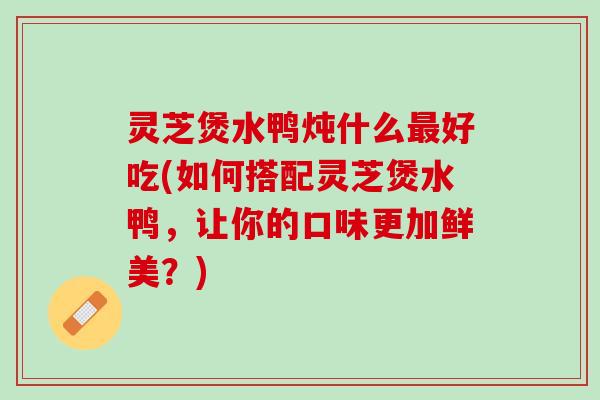 灵芝煲水鸭炖什么最好吃(如何搭配灵芝煲水鸭，让你的口味更加鲜美？)