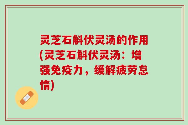 灵芝石斛伏灵汤的作用(灵芝石斛伏灵汤：增强免疫力，缓解疲劳怠惰)