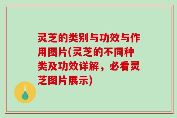 灵芝的类别与功效与作用图片(灵芝的不同种类及功效详解，必看灵芝图片展示)