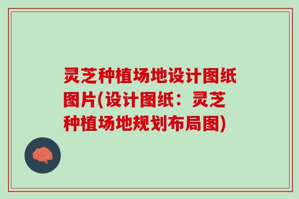 灵芝种植场地设计图纸图片(设计图纸:灵芝种植场地规划布局图) 灵芝种植场地设计图纸图片(设计图纸:灵芝种植场地规划布局图)