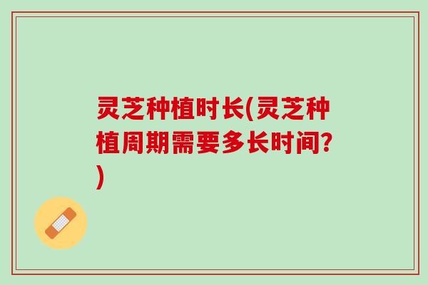 灵芝种植时长(灵芝种植周期需要多长时间？)