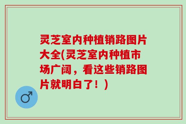 灵芝室内种植销路图片大全(灵芝室内种植市场广阔，看这些销路图片就明白了！)