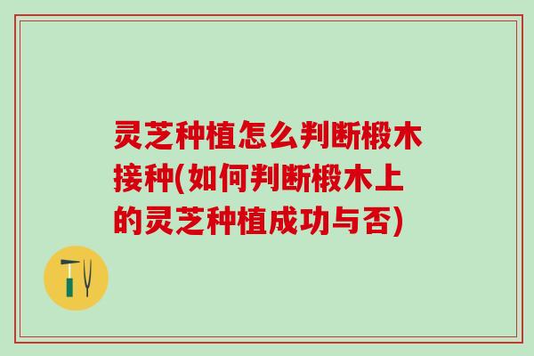 灵芝种植怎么判断椴木接种(如何判断椴木上的灵芝种植成功与否)
