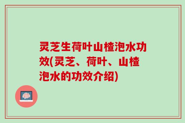 灵芝生荷叶山楂泡水功效(灵芝、荷叶、山楂泡水的功效介绍)