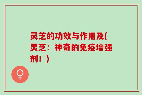 灵芝的功效与作用及(灵芝：神奇的免疫增强剂！)