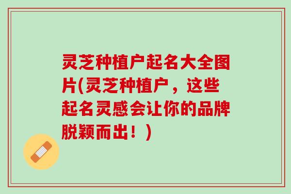 灵芝种植户起名大全图片(灵芝种植户，这些起名灵感会让你的品牌脱颖而出！)