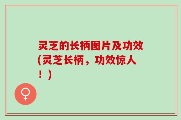 灵芝的长柄图片及功效(灵芝长柄，功效惊人！)