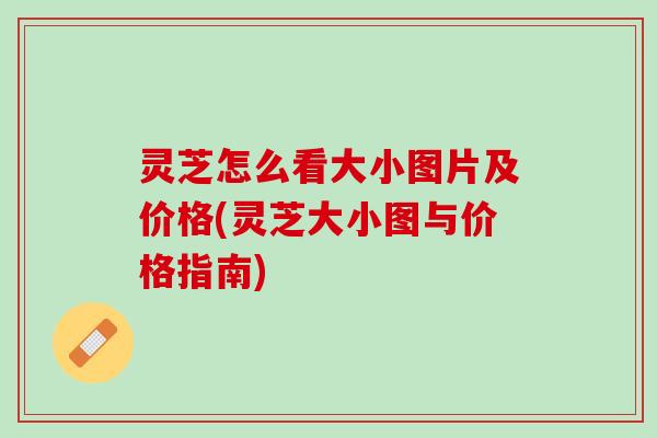 灵芝怎么看大小图片及价格(灵芝大小图与价格指南)