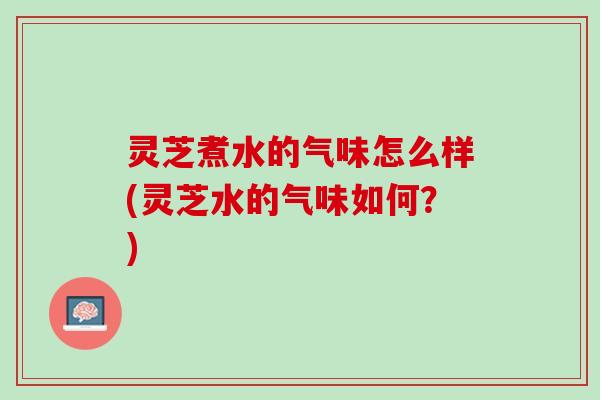 灵芝煮水的气味怎么样(灵芝水的气味如何？)