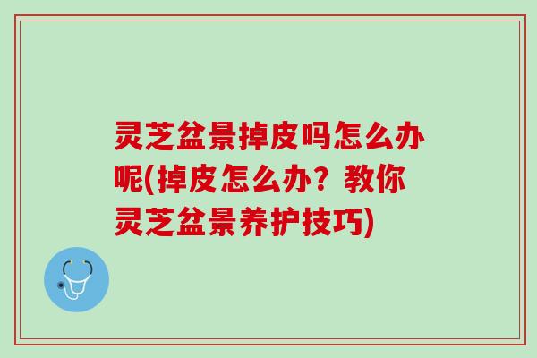 灵芝盆景掉皮吗怎么办呢(掉皮怎么办？教你灵芝盆景养护技巧)