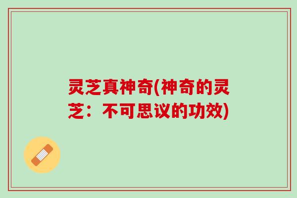 灵芝真神奇(神奇的灵芝：不可思议的功效)