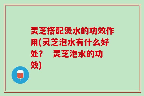 灵芝搭配煲水的功效作用(灵芝泡水有什么好处？  灵芝泡水的功效)