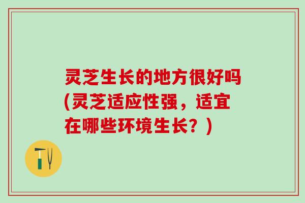 灵芝生长的地方很好吗(灵芝适应性强,适宜在哪些环境生长?) 灵芝生长的地方很好吗(灵芝适应性强,适宜在哪些环境生长?)