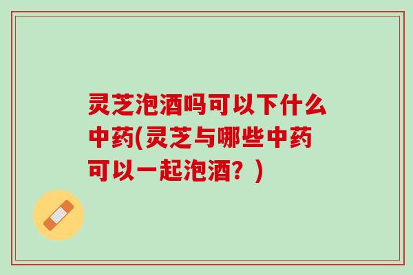 灵芝泡酒吗可以下什么中药(灵芝与哪些中药可以一起泡酒？)