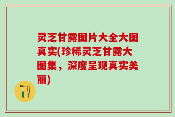 灵芝甘露图片大全大图真实(珍稀灵芝甘露大图集,深度呈现真实美丽) 灵芝甘露图片大全大图真实(珍稀灵芝甘露大图集,深度呈现真实美丽)