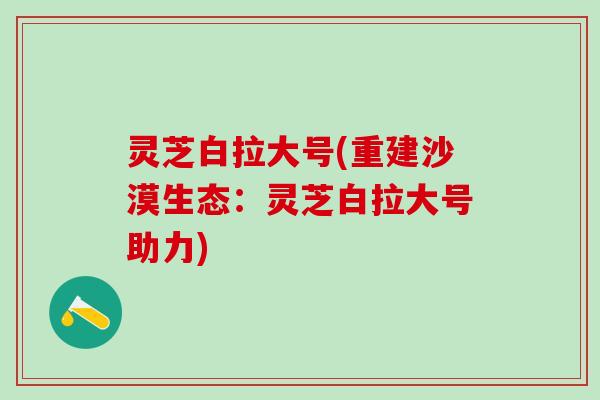 灵芝白拉大号(重建沙漠生态：灵芝白拉大号助力)