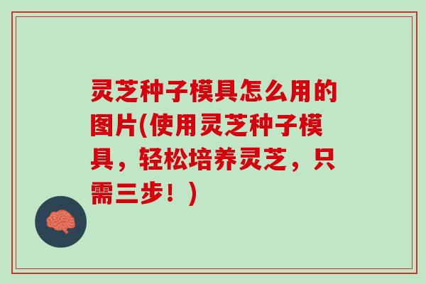 灵芝种子模具怎么用的图片(使用灵芝种子模具，轻松培养灵芝，只需三步！)