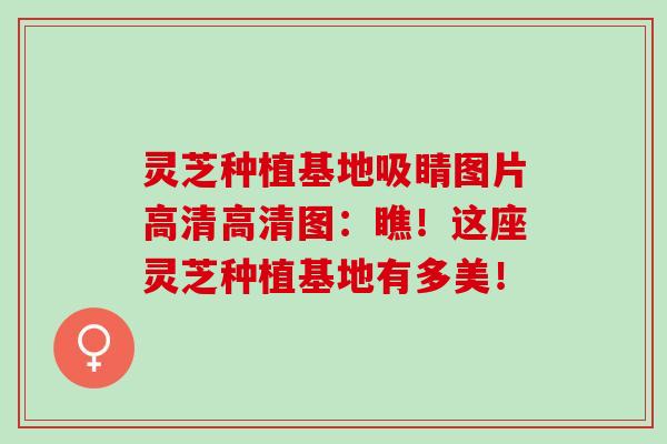 灵芝种植基地吸睛图片高清高清图：瞧！这座灵芝种植基地有多美！