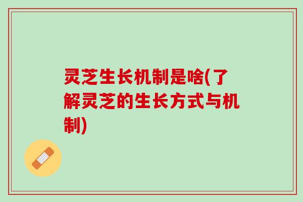 灵芝生长机制是啥(了解灵芝的生长方式与机制)