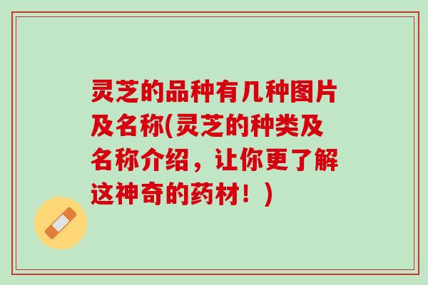 灵芝的品种有几种图片及名称(灵芝的种类及名称介绍，让你更了解这神奇的药材！)