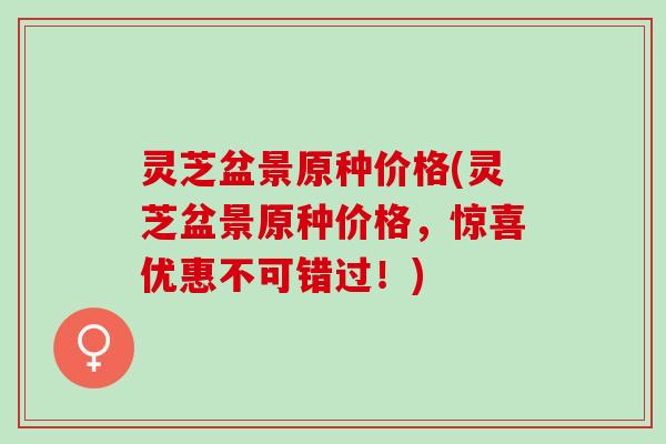 灵芝盆景原种价格(灵芝盆景原种价格，惊喜优惠不可错过！)